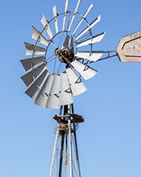 There are several windmills on the reserve and this one serves as a raven's nest.