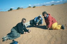 Professor Marilyn Fogel, right, and her colleagues search for Genyornis eggshells on an Australian beach dubbed 'Geny Heaven.'